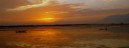 The Golden Sunset